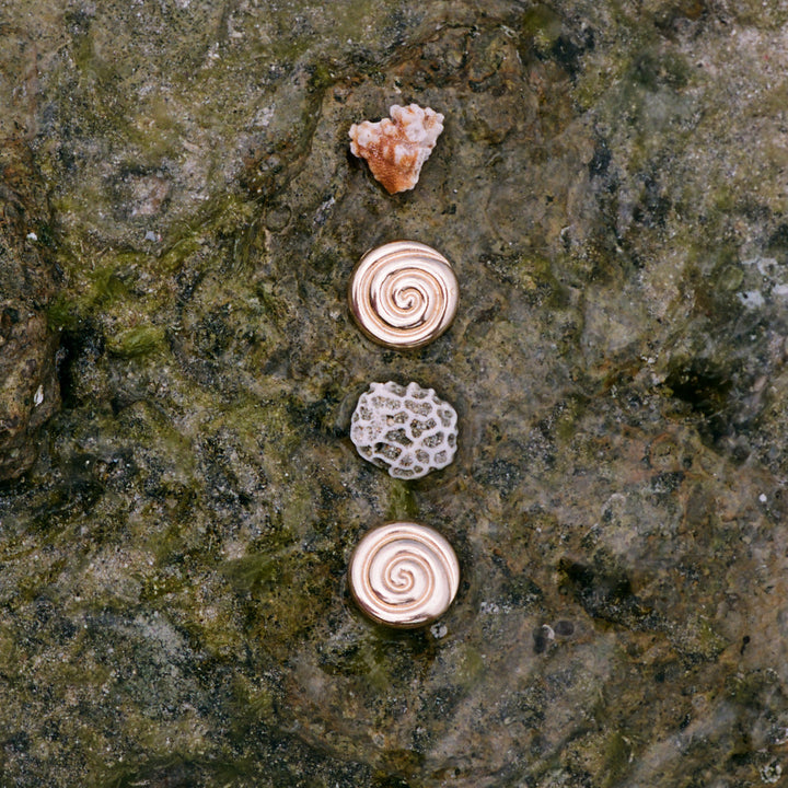 Ebba - Shell Stud Earrings Stainless Steel