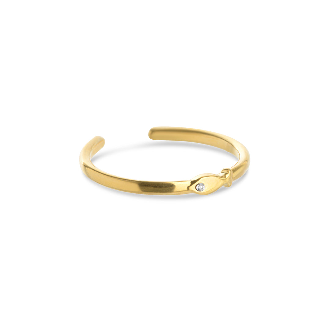 Aruba - Anello Pesce in Acciaio Inossidabile