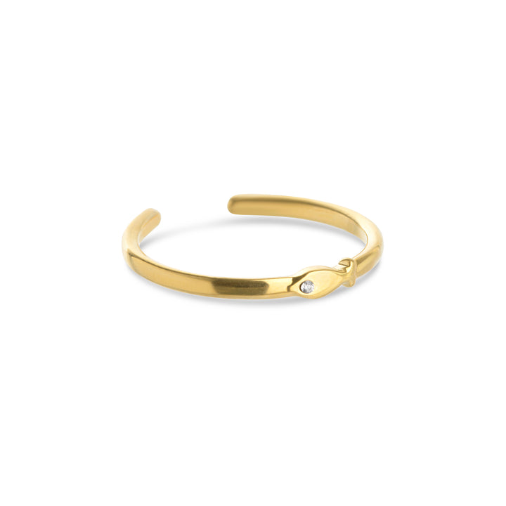 Aruba - Anello Pesce in Acciaio Inossidabile