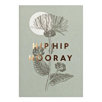 Hip Hip Hooray Greeting Card